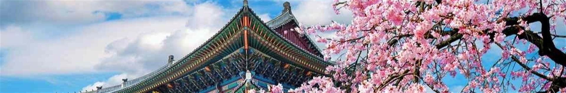 ♡K♡REA..MIKX 》(فاطی هستم)