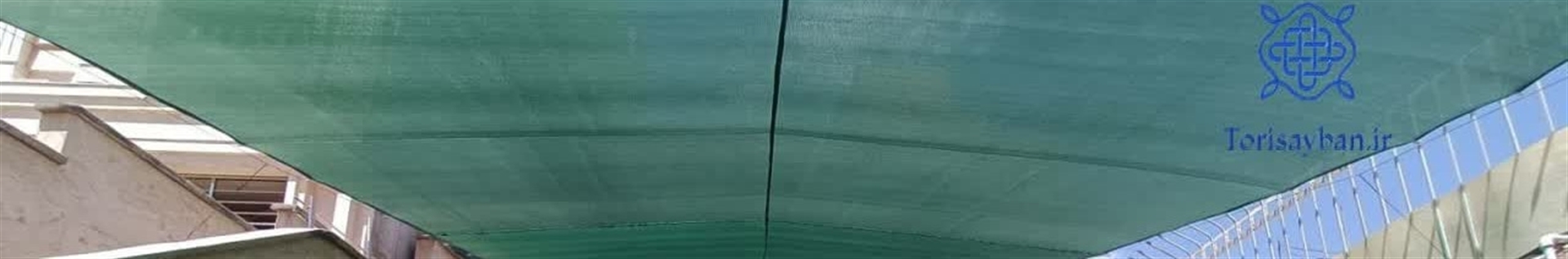 بهزاد ولی زاده