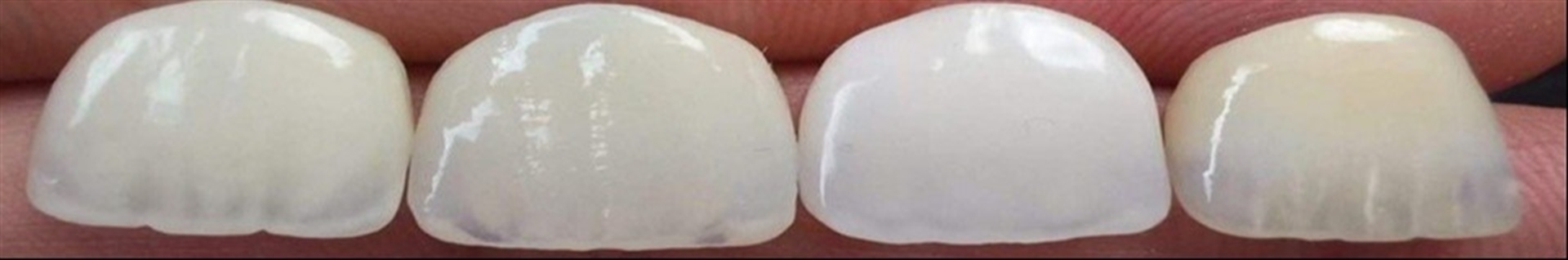 دکتر حجت نجیب زادگان