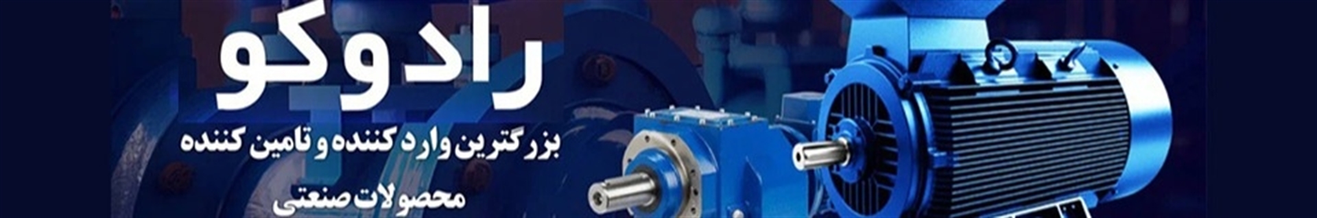 رادوکو - هلدینگ تجارت رادوین