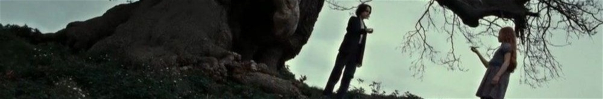 درمورد جهان من