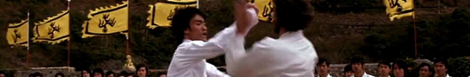 مبارز گونگ فو