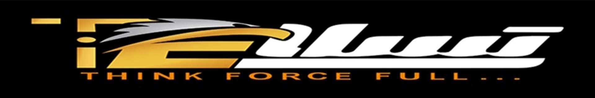 تسلاولدینگ