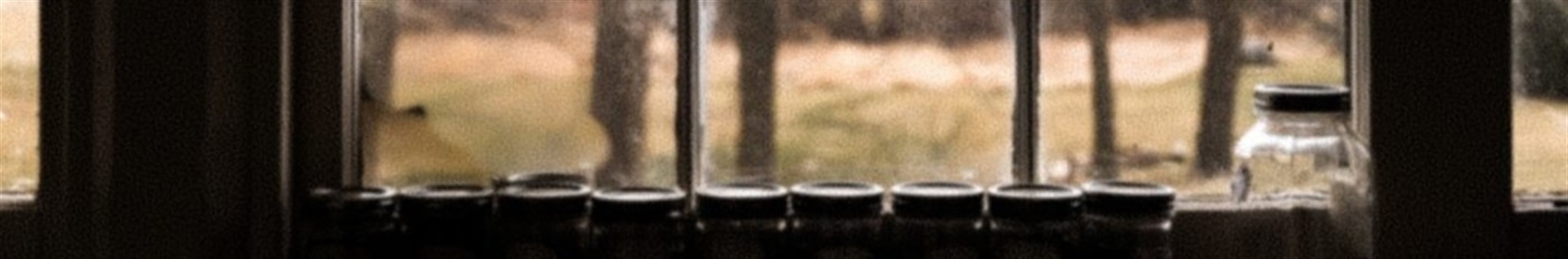 محمدحسین ناصری