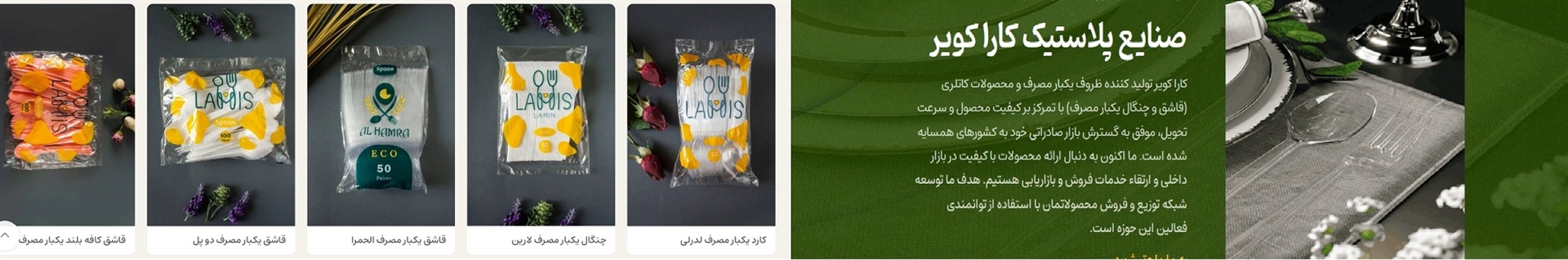 لمیس پلاست (صنایع پلاستیک کارا کویر)