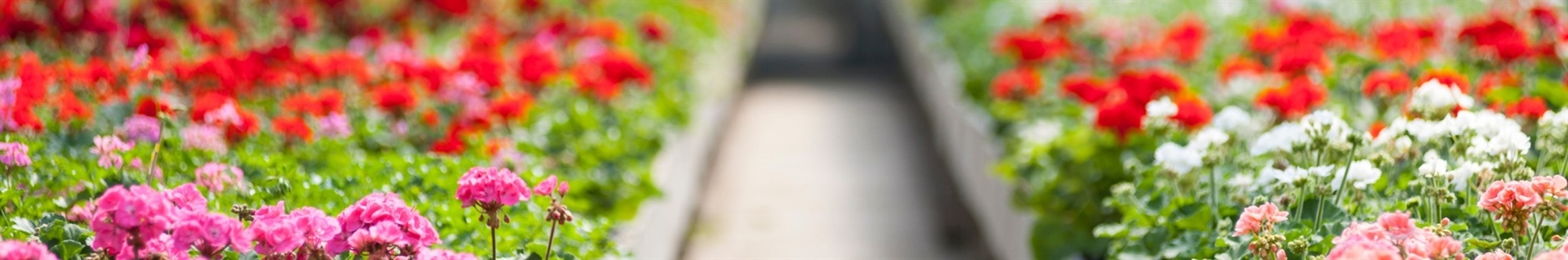 کشاورز پیشرفته