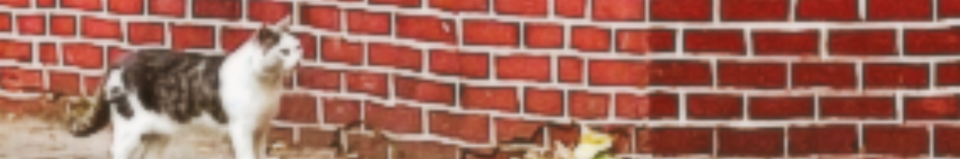 ^♪Green.Reihan.mix♪^فرشتـــه بانـــــوی سبـــــز^^(مغازه ریحون بسته تا مدتی)