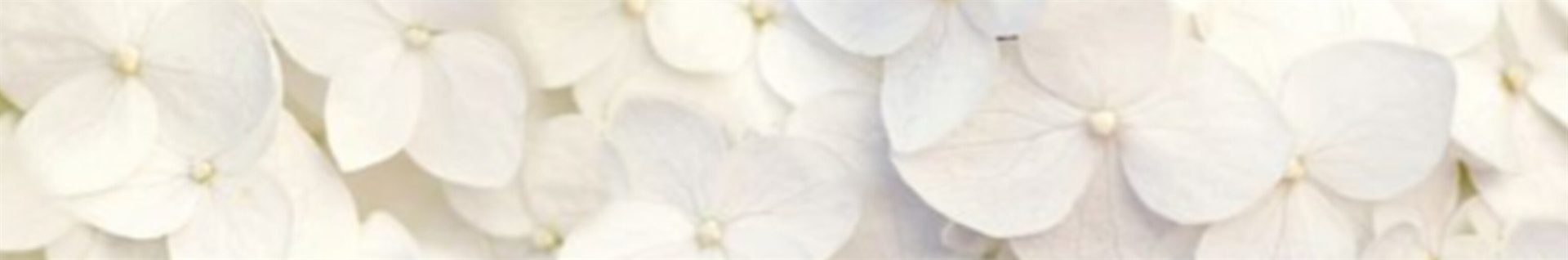 ⁠☆STAR KPOP☆ دوباره کامنت ویدیو آخر رو ببینید...