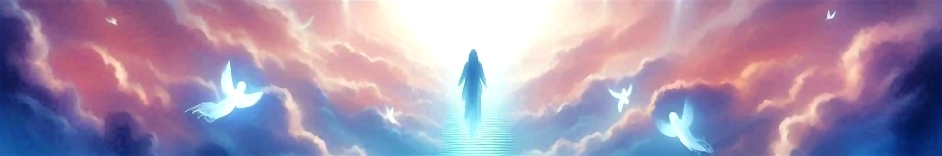 آرشیو کامل تجربیات نزدیک به مرگ (NDE)