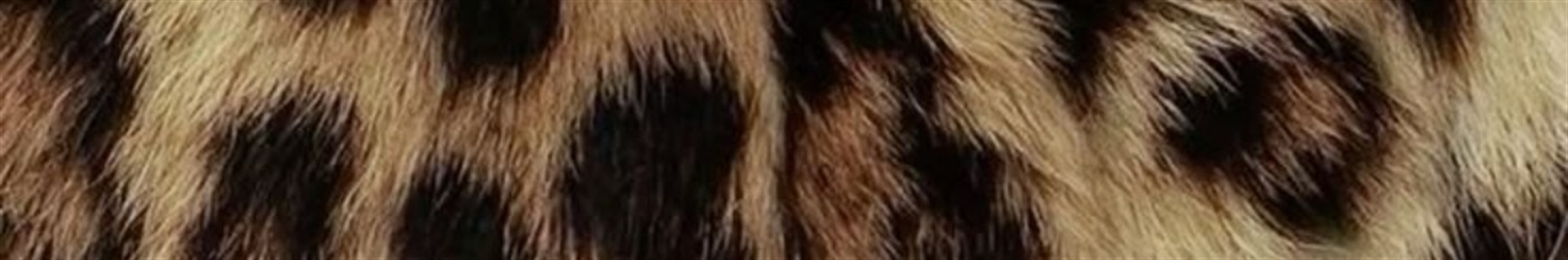 winter "پنج شنبه و جمعه ها میام"