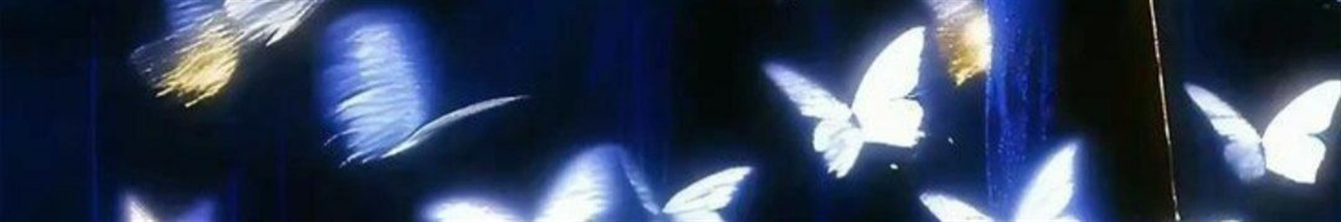 .•°ᴹⁱ&ᴷⁱ°•.