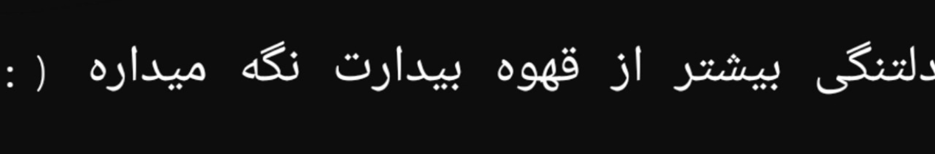 ᥴꪖꪶꪗρડꪮ.