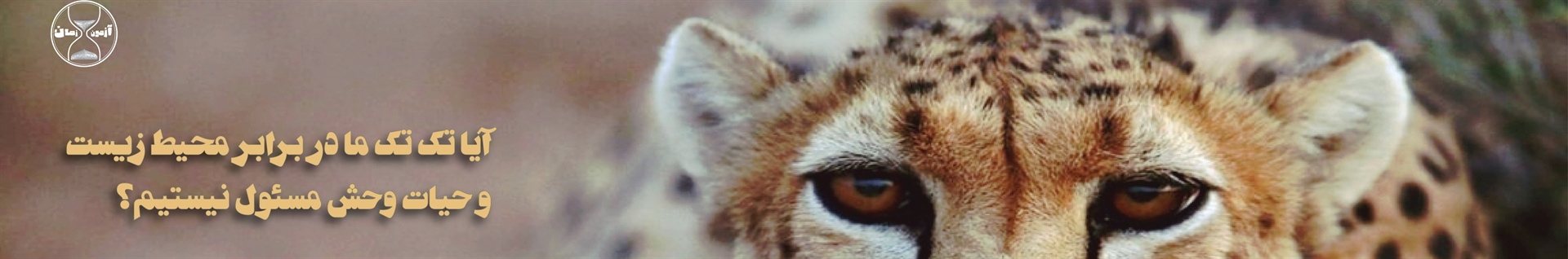 فرهاد خلقتی  (Farhad Khelghati)