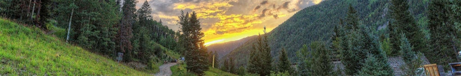 محمد ابراهیم علیمردانی