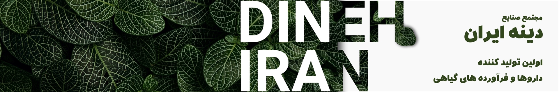 مجتمع صنایع دینه ایران