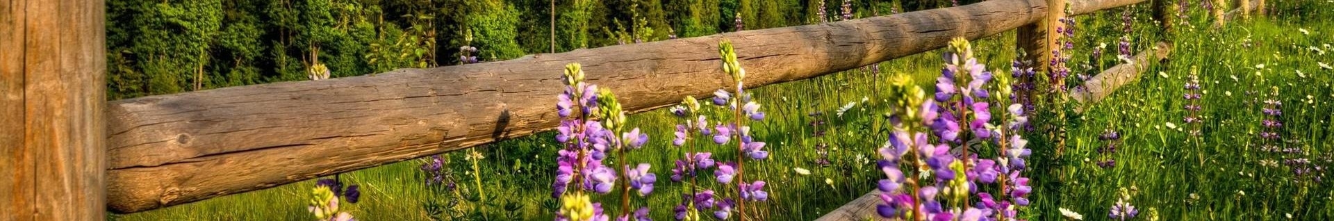 ANITA.M(ست با یومی و بنیتا جونم)، عضو گروه karma ،دلتنگ رومینا،درخواستی قبول
